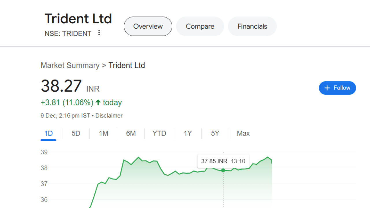 OMG! Trident का शेयर भागा 11%, 1 दिन में 1 लाख पर इन्वेस्टर को दिया 10 हजार का मुनाफा